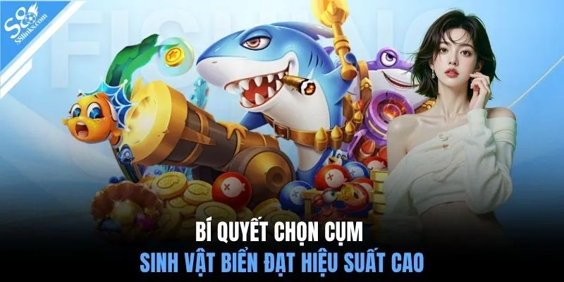 Bí quyết chọn cụm sinh vật biển đạt hiệu suất cao