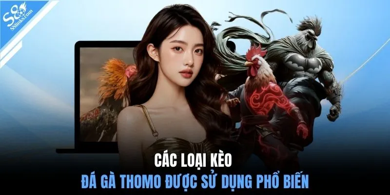 Các loại kèo đá gà Thomo được sử dụng phổ biến