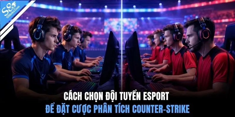 Cách chọn đội tuyển esport để đặt cược phân tích Counter-Strike
