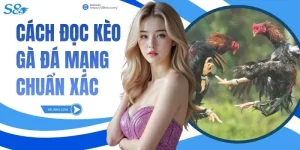 Cách Đọc Kèo Gà Đá Mạng Chuẩn Xác