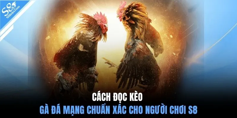Cách đọc kèo gà đá mạng chuẩn xác cho người chơi S8