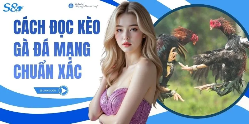 Cách Đọc Kèo Gà Đá Mạng Chuẩn Xác