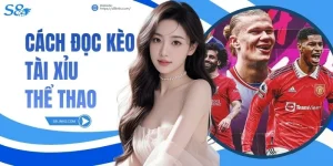 Cách Đọc Kèo Tài Xỉu Thể Thao