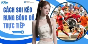 Cách Soi Kèo Rung Bóng Đá Trực Tiếp