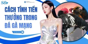 Cách Tính Tiền Thưởng Trong Đá Gà Mạng