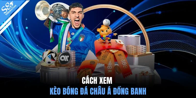 Cách xem kèo bóng đá châu Á đồng banh