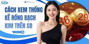 Cách Xem Thống Kê Rồng Bạch Kim Trên S8