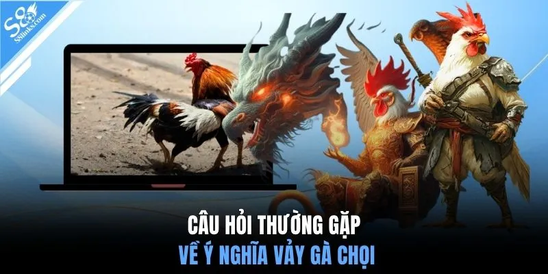 Câu hỏi thường gặp về ý nghĩa vảy gà chọi