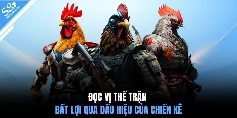 Đọc vị thế trận bất lợi qua dấu hiệu của chiến kê