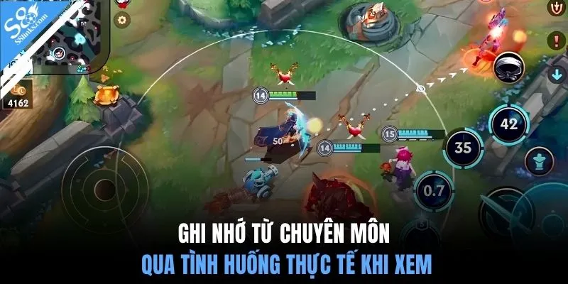 Ghi nhớ từ chuyên môn qua tình huống thực tế khi xem