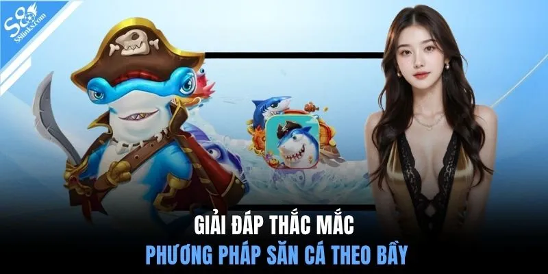 Giải đáp thắc mắc phương pháp săn cá theo bầy
