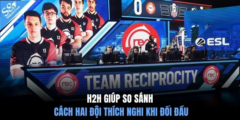 H2H giúp so sánh cách hai đội thích nghi khi đối đầu