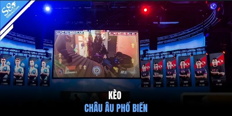 Kèo Châu Âu phổ biến