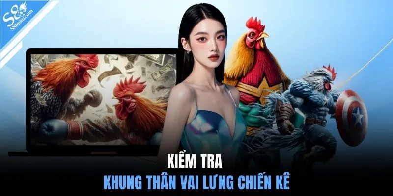 Kiểm tra khung thân vai lưng chiến kê
