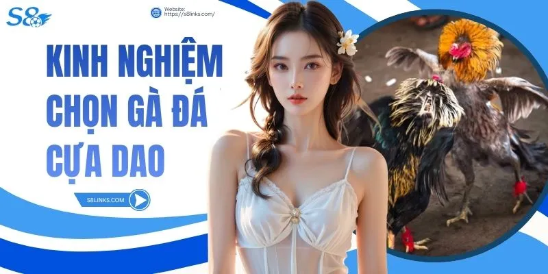 Kinh Nghiệm Chọn Gà Đá Cựa Dao