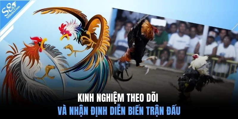 Kinh nghiệm theo dõi và nhận định diễn biến trận đấu