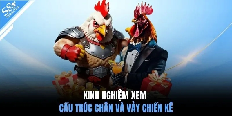 Kinh nghiệm xem cấu trúc chân và vảy chiến kê