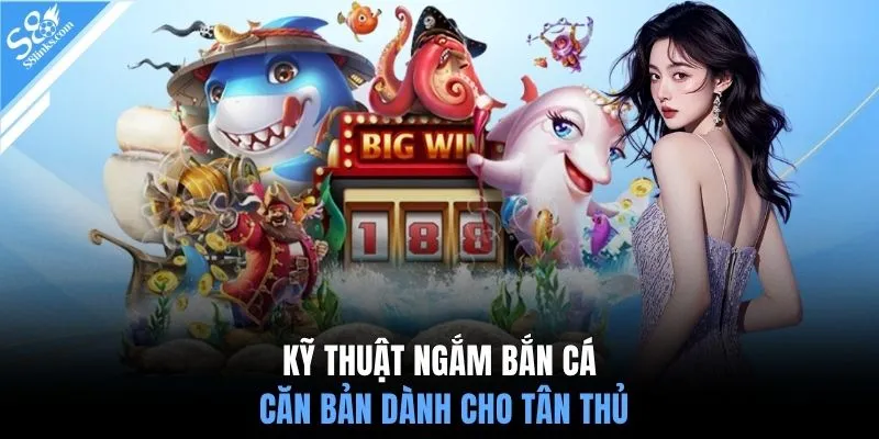 Kỹ thuật ngắm bắn cá căn bản dành cho tân thủ