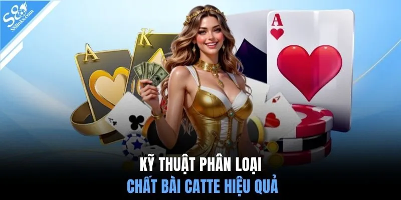 Kỹ thuật phân loại chất bài Catte hiệu quả