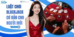 Luật Chơi Blackjack Cơ Bản Cho Người Mới