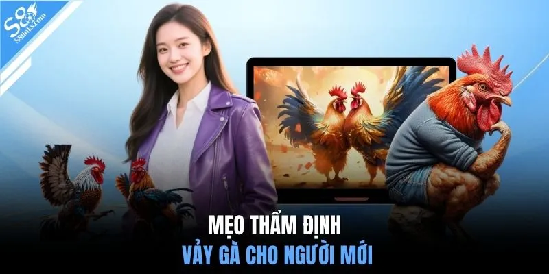 Mẹo thẩm định vảy gà cho người mới