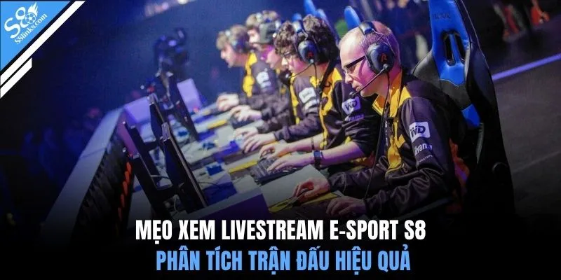 Mẹo xem livestream e-sport S8 phân tích trận đấu hiệu quả
