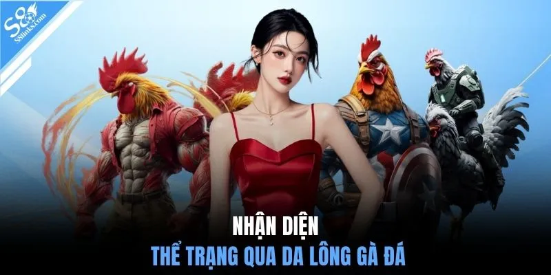 Nhận diện thể trạng qua da lông gà đá