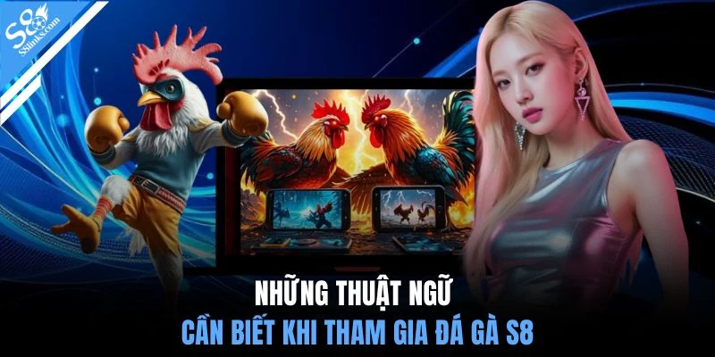 Những thuật ngữ cần biết khi tham gia đá gà S8