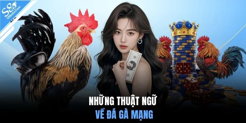 Những thuật ngữ về đá gà mạng