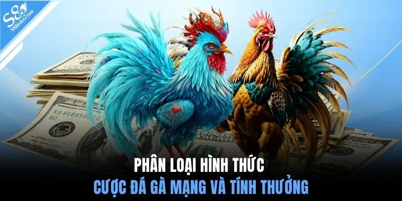 Phân loại hình thức cược đá gà mạng và tính thưởng