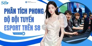 Phân Tích Phong Độ Đội Tuyển Esport Trên S8