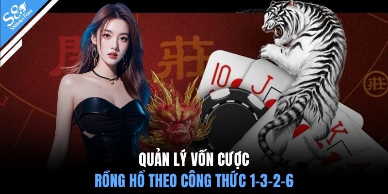 Quản lý vốn cược Rồng Hổ theo công thức 1-3-2-6