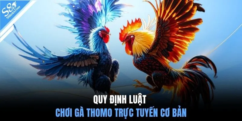 Quy định luật chơi gà Thomo trực tuyến cơ bản