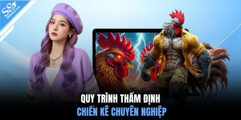 Quy trình thẩm định chiến kê chuyên nghiệp