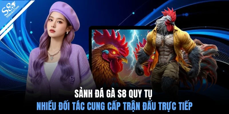 Sảnh đá gà S8 quy tụ nhiều đối tác cung cấp trận đấu trực tiếp