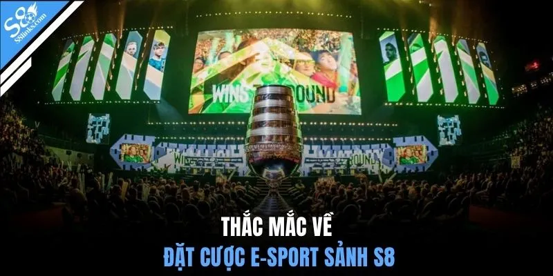 Thắc mắc về đặt cược e-sport sảnh S8