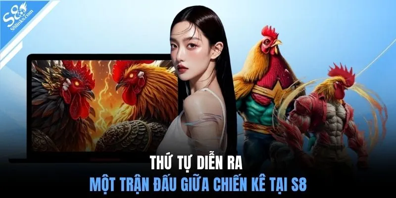 Thứ tự diễn ra một trận đấu giữa chiến kê tại S8