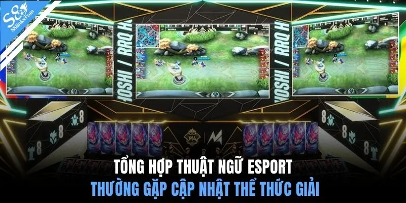 Tổng hợp thuật ngữ esport thường gặp cập nhật thể thức giải