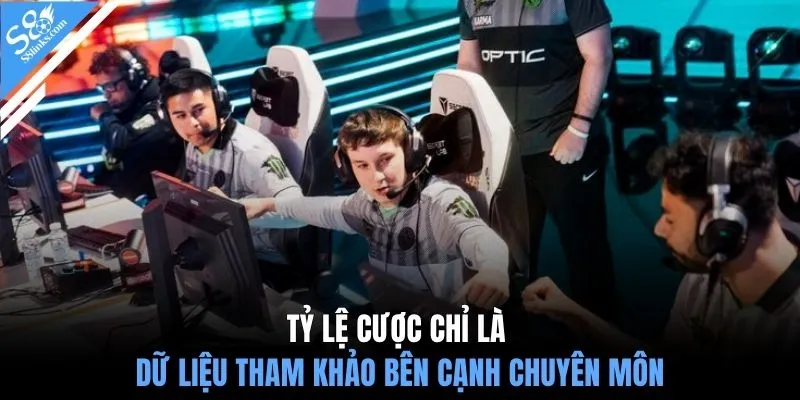 Tỷ lệ cược chỉ là dữ liệu tham khảo bên cạnh chuyên môn