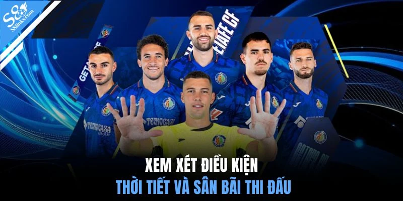 Xem xét điều kiện thời tiết và sân bãi thi đấu